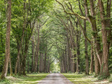 Camping L'Orangerie de Beauregard - Villedomer, Val de Loire.