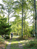 Balade sur le terrain de camping