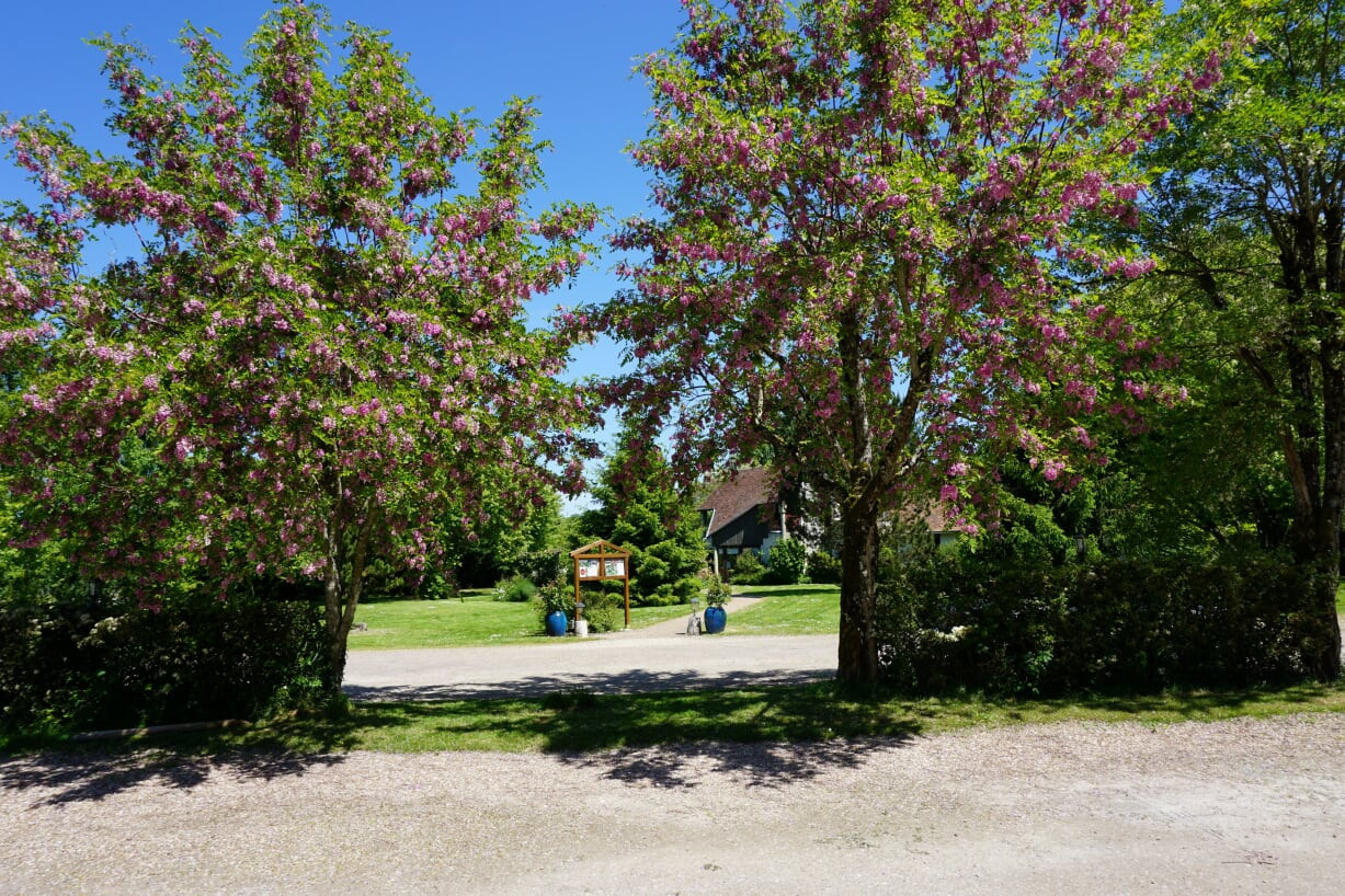 Domaine de L'Arbrelle 