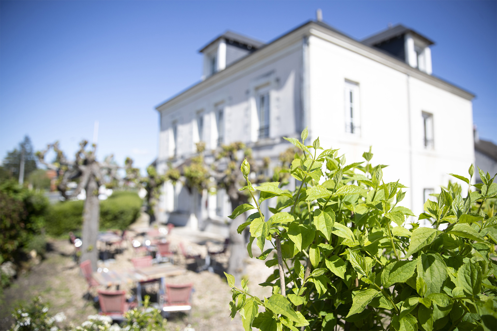 Relais Touraine Sologne - hôtels de beauval 