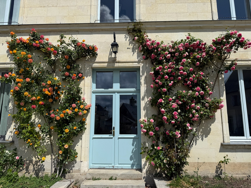 La Dixmeresse maison d'hôtes - © Charles Johnson La Dixmeresse maison d'hôtes