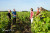 Vinoloire Wine-tours