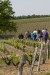 “Rendez-vous dans les vignes” - Wine-related activities