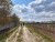 Sentier entre Loire et vignes