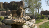 ZooParc de Beauval