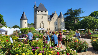 tours-tourisme