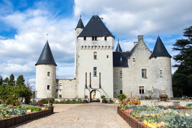 Billet château du Rivau adulte