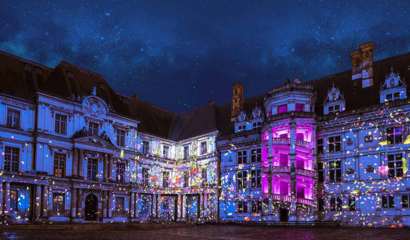 Château de Blois avec son et lumière