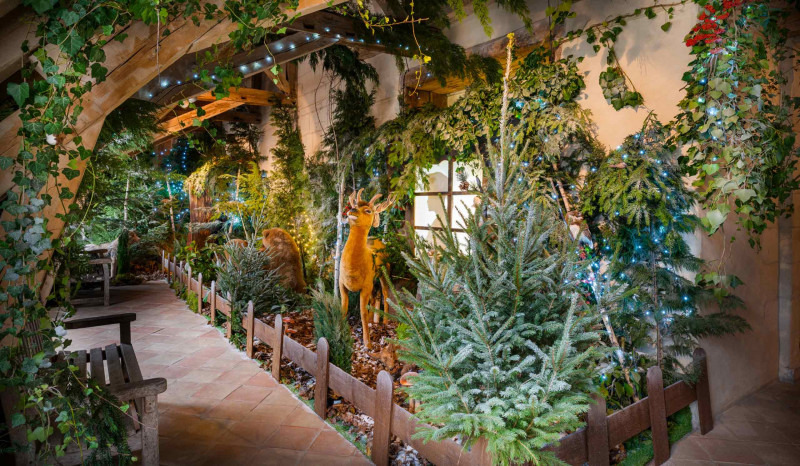 Séjour Noël au Pays des Châteaux - Pass 3 châteaux