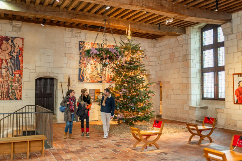 Cité Royale de Loches