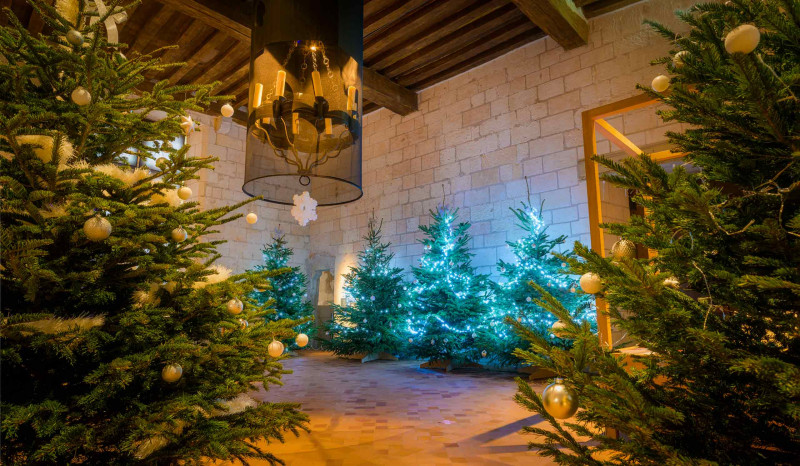 Séjour Noël au Pays des Châteaux - Pass 4 châteaux Séjour Noël au Pays des Châteaux - Pass 4 châteaux