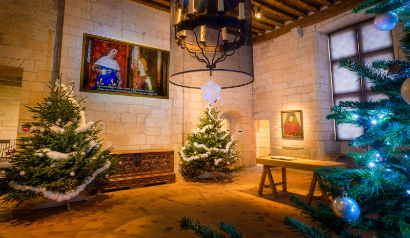 Séjour Noël au Pays des Châteaux - Pass 4 châteaux Séjour Noël au Pays des Châteaux - Pass 4 châteaux