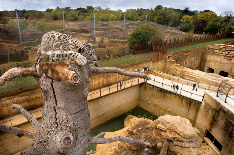 Bioparc Zoo de Doué-la-Fontaine