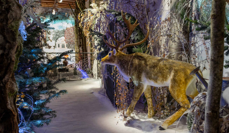 Séjour Noël au Pays des Châteaux - Pass 4 châteaux Séjour Noël au Pays des Châteaux - Pass 4 châteaux