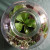 Terrarium Up cycling spécial enfant