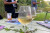 7 vins 7 lieux insolites : Dégustation inattendue dans les jardins de Villandry