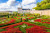 Full day to Langeais, Villandry, Rigny-Ussé and Azay-le-Rideau with  Acco Dispo