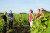 Journée complète autour des vins de Touraine