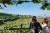 Full day to Villandry, Azay-le-Rideau & Vouvray wine tour