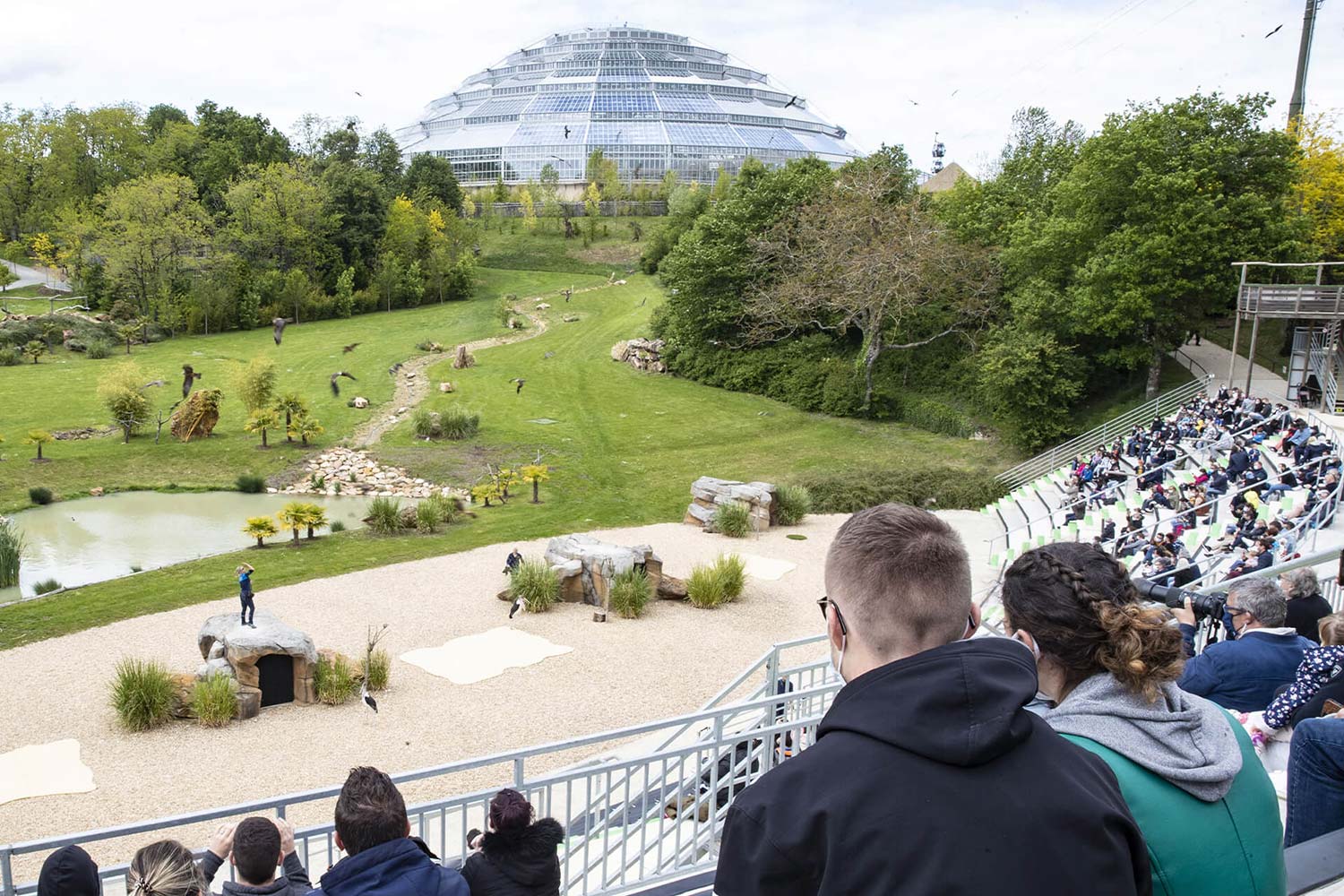 ZooParc de Beauval: Day Admission Ticket